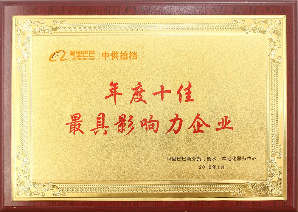 j1749-2-8-阿里巴巴年度最具影响力企业.jpg